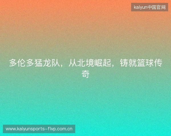 多伦多猛龙队，从北境崛起，铸就篮球传奇